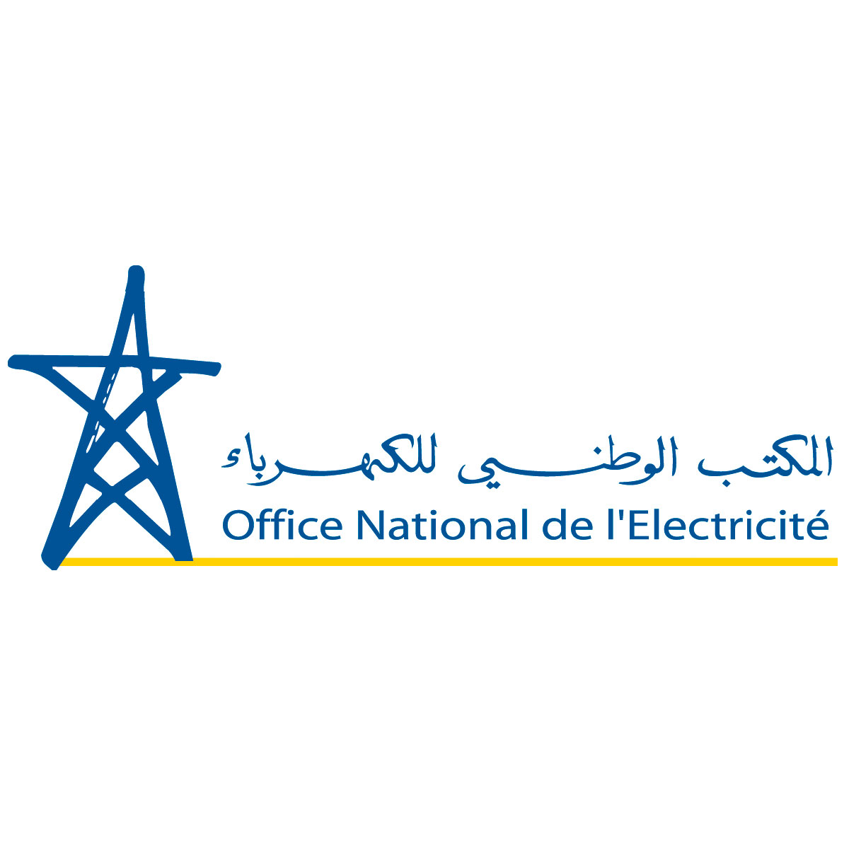 Office National de l'eletricité: SCAM's Institutional Customer