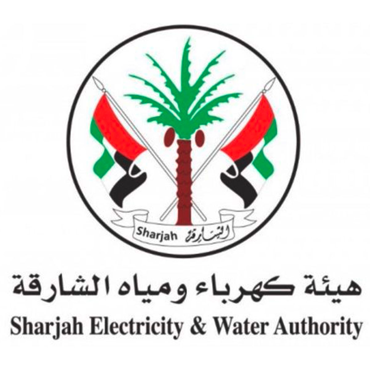 Sharjah Electricity: SCAM’s Institutional Customer