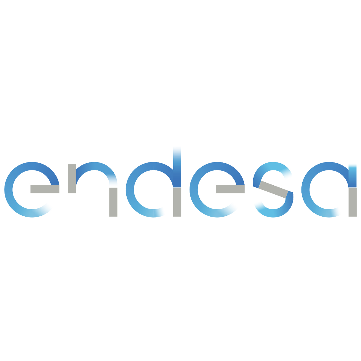 Endesa: SCAM’s Customer